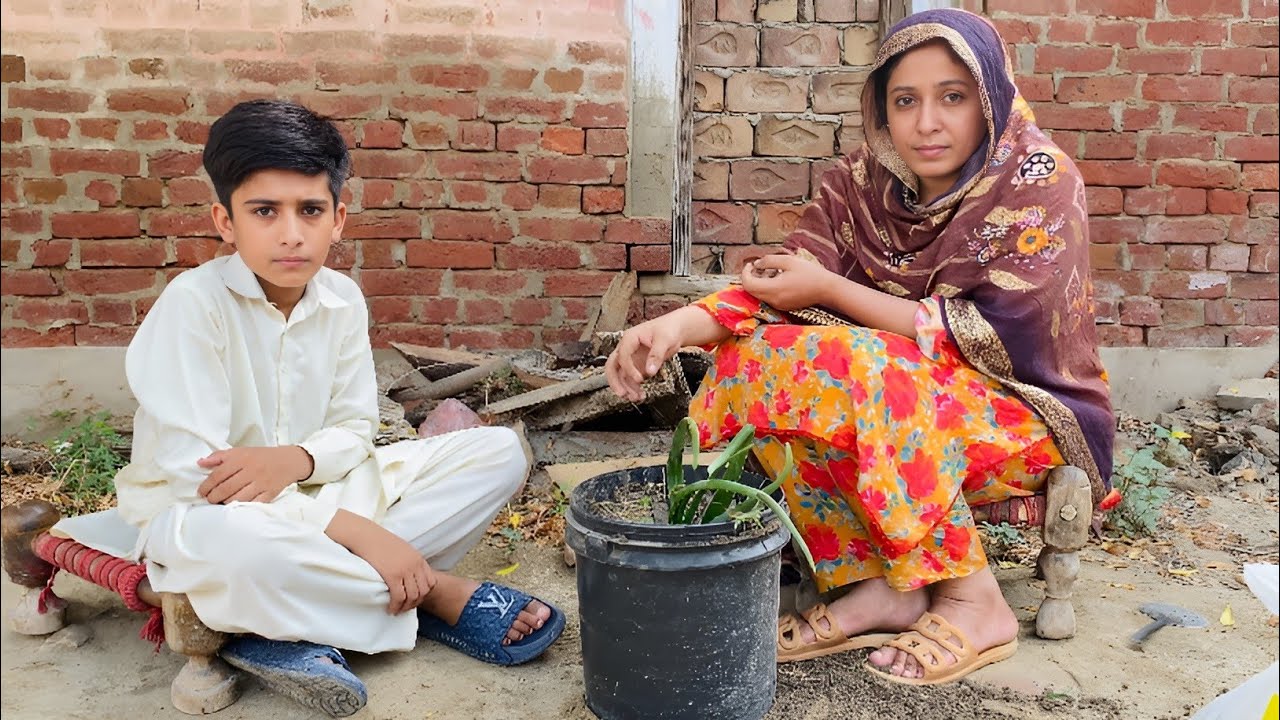 Ghar men Plants lga dia || Ami ka new Dress 😲