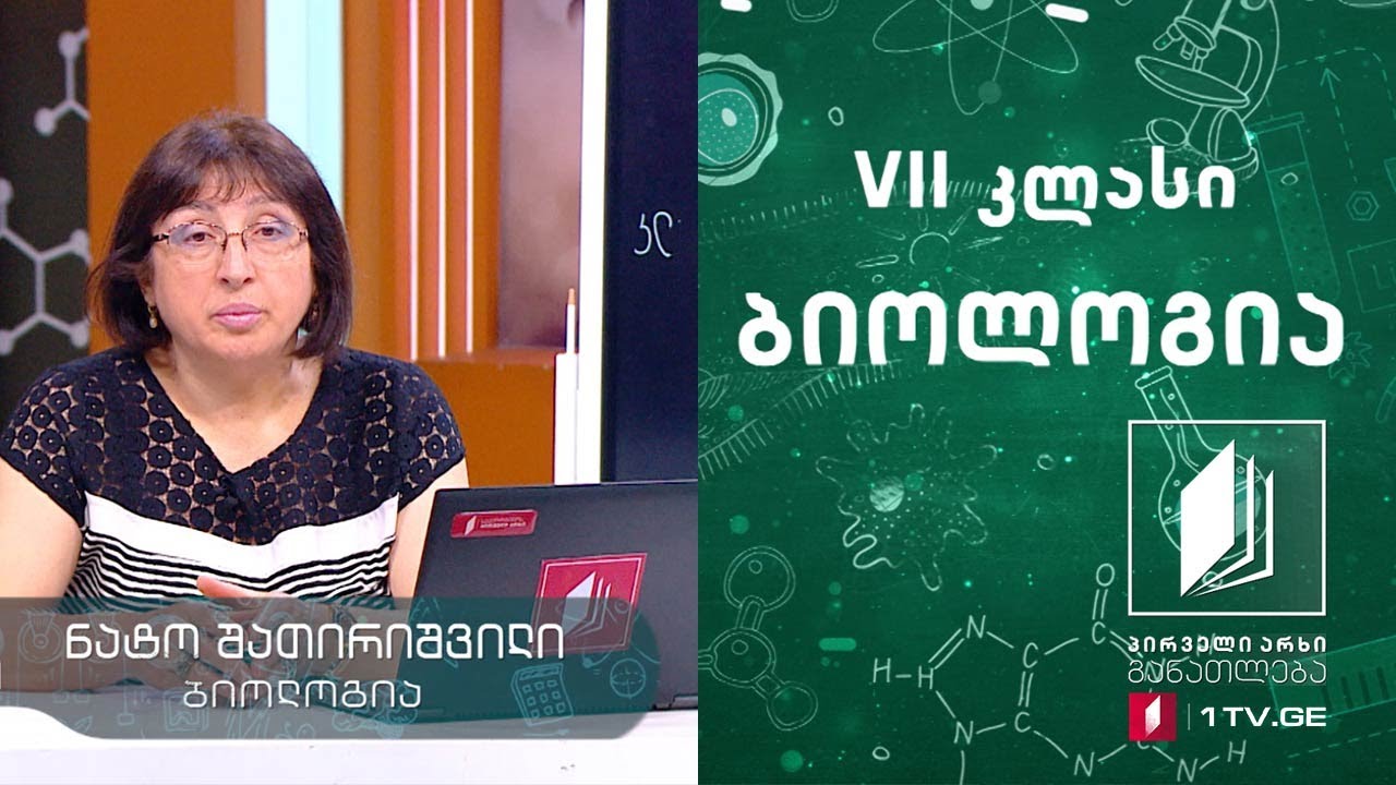ბიოლოგია, VII კლასი - ძუძუმწოვრები #ტელესკოლა