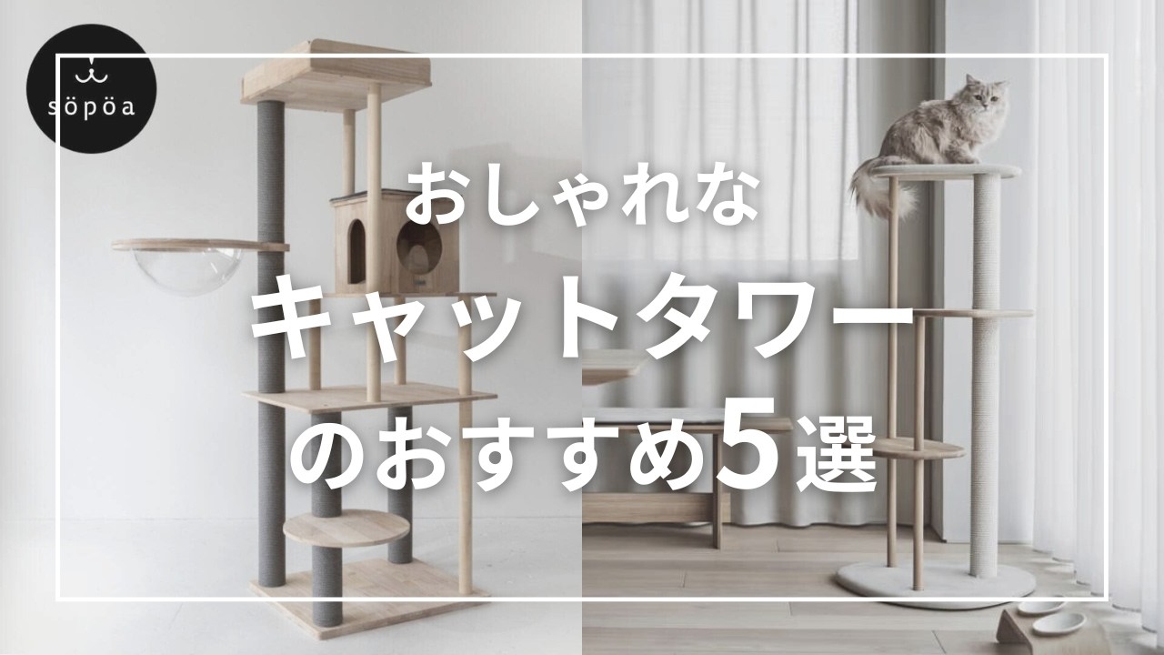 おしゃれなキャットタワーのおすすめ5選。木製から突っ張りタイプまで
