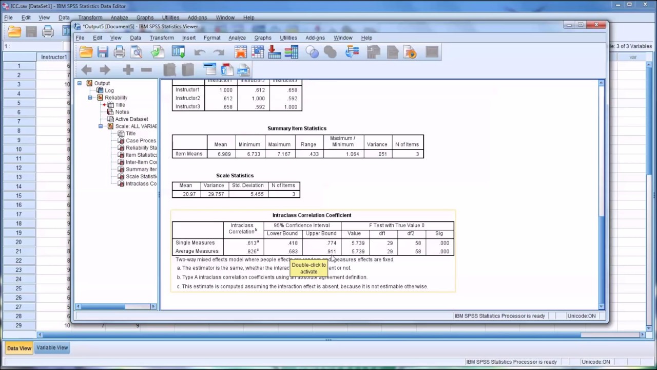 Determining Inter-Rater Reliability with the Intraclass Correlation Coefficient in SPSS