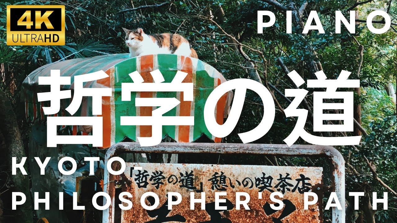 Kyoto-Philosopher's Path: Walk from Dusk to Night | 4K Piano