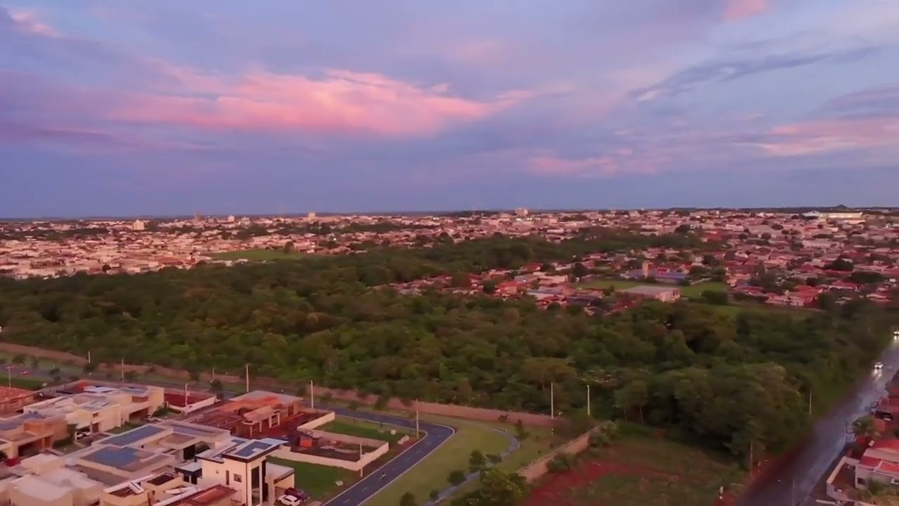DM DRONE