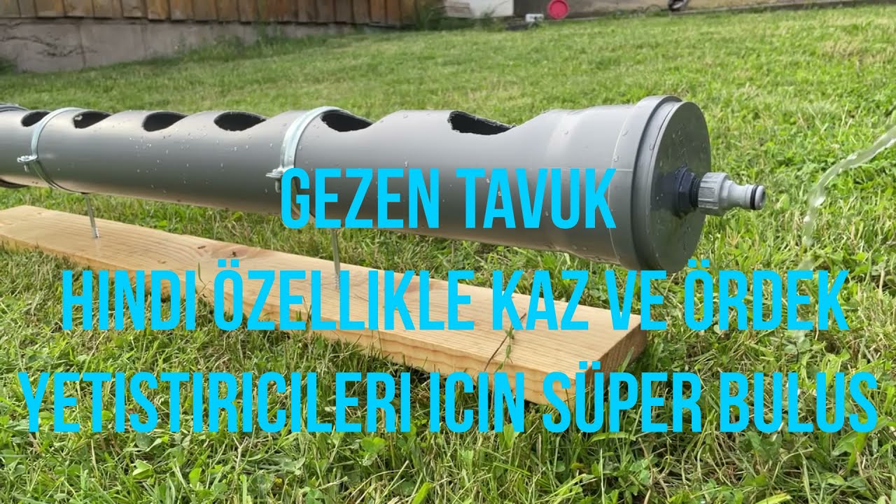 DİY SUPER İCAT Gezen Tavuk Hindi Kaz ve Ördek Yetiştirenler için Pimaş Borudan Tam Otomatik Suluk