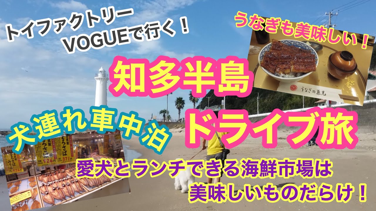 トイファクトリー　VOGUEで行く！犬連れ車中泊　知多半島ドライブ旅！