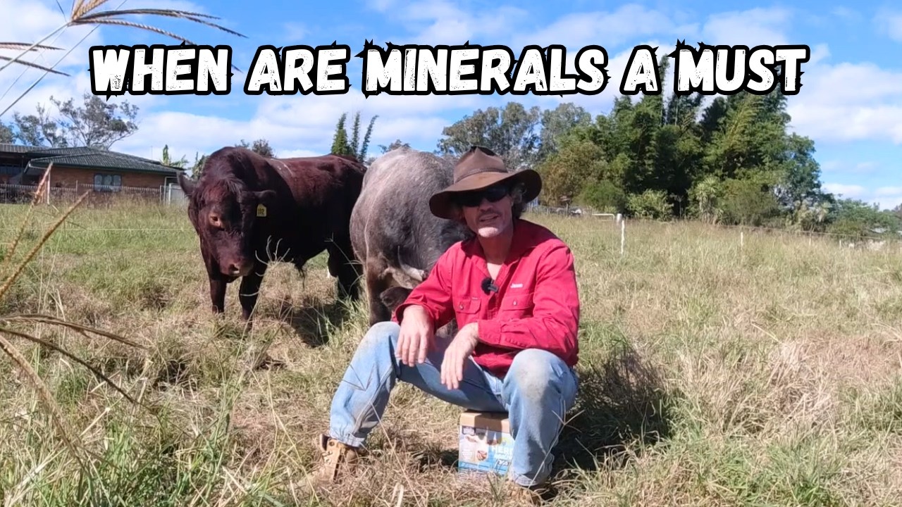 Why Livestock Winter Minerals are a MUST..!!