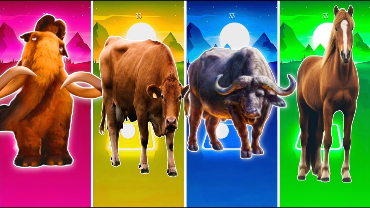 Funny Cow🐎🆚The Funny Buffalo a 🆚Funny The Cow🆚Funny Bull Tiles Hop EDM Rush #tileshop​ #coffindance
