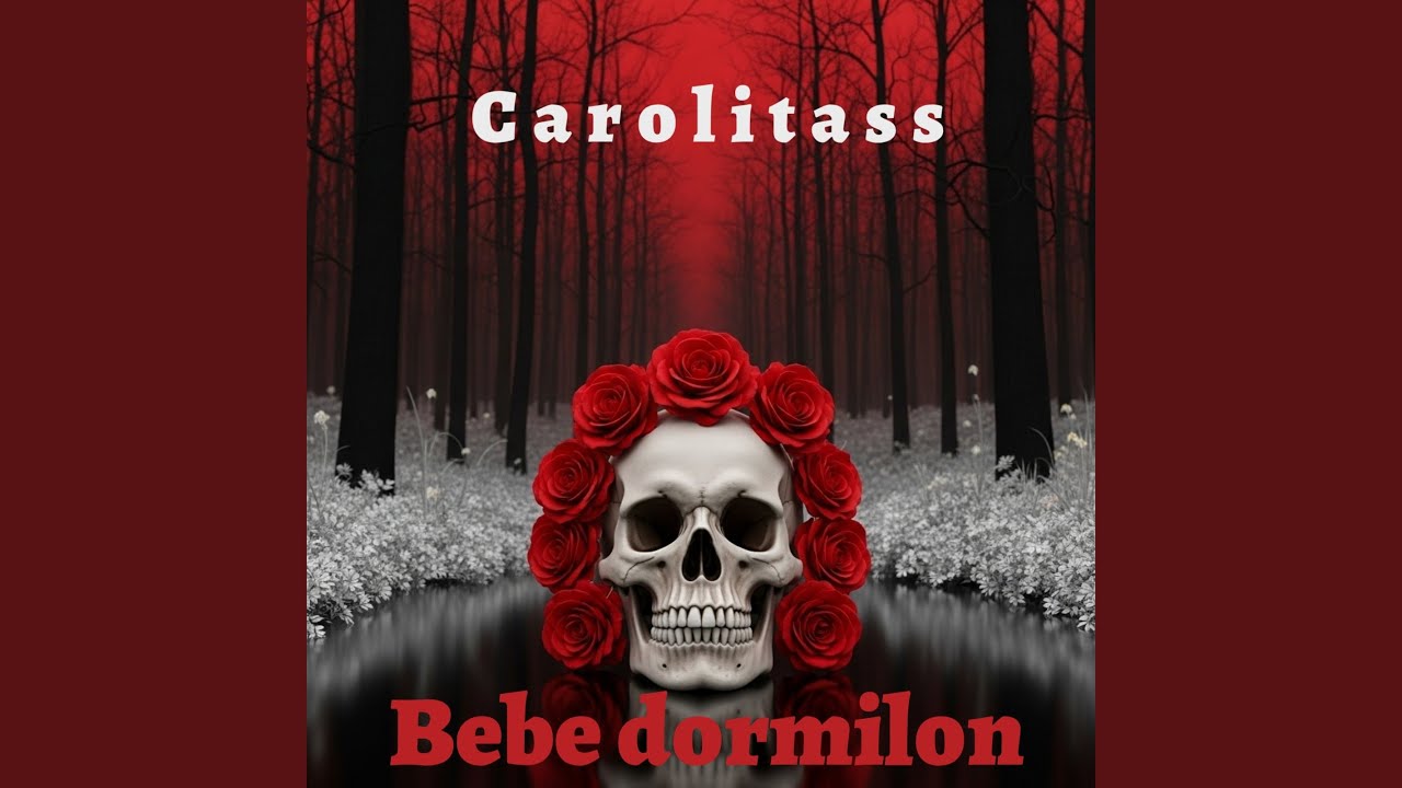Bebe dormilon