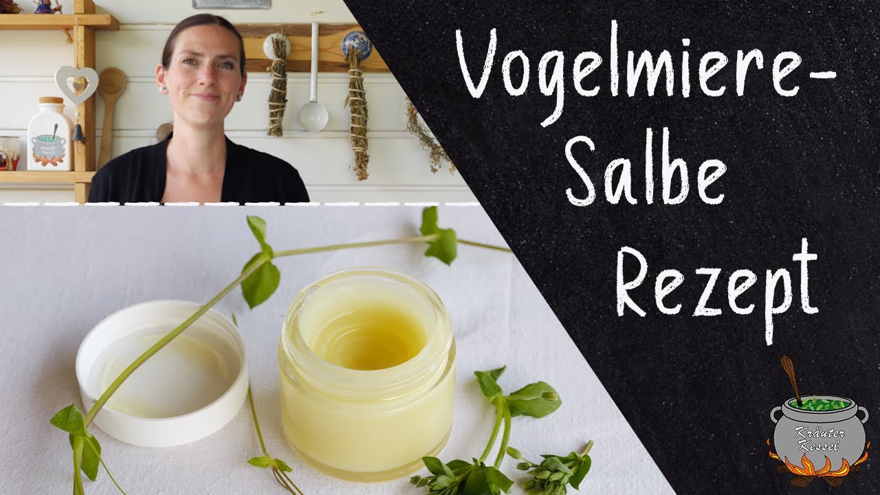 Vogelmiere-Salbe Rezept 🌿 Beruhigend und heilend f&uuml;r die Haut