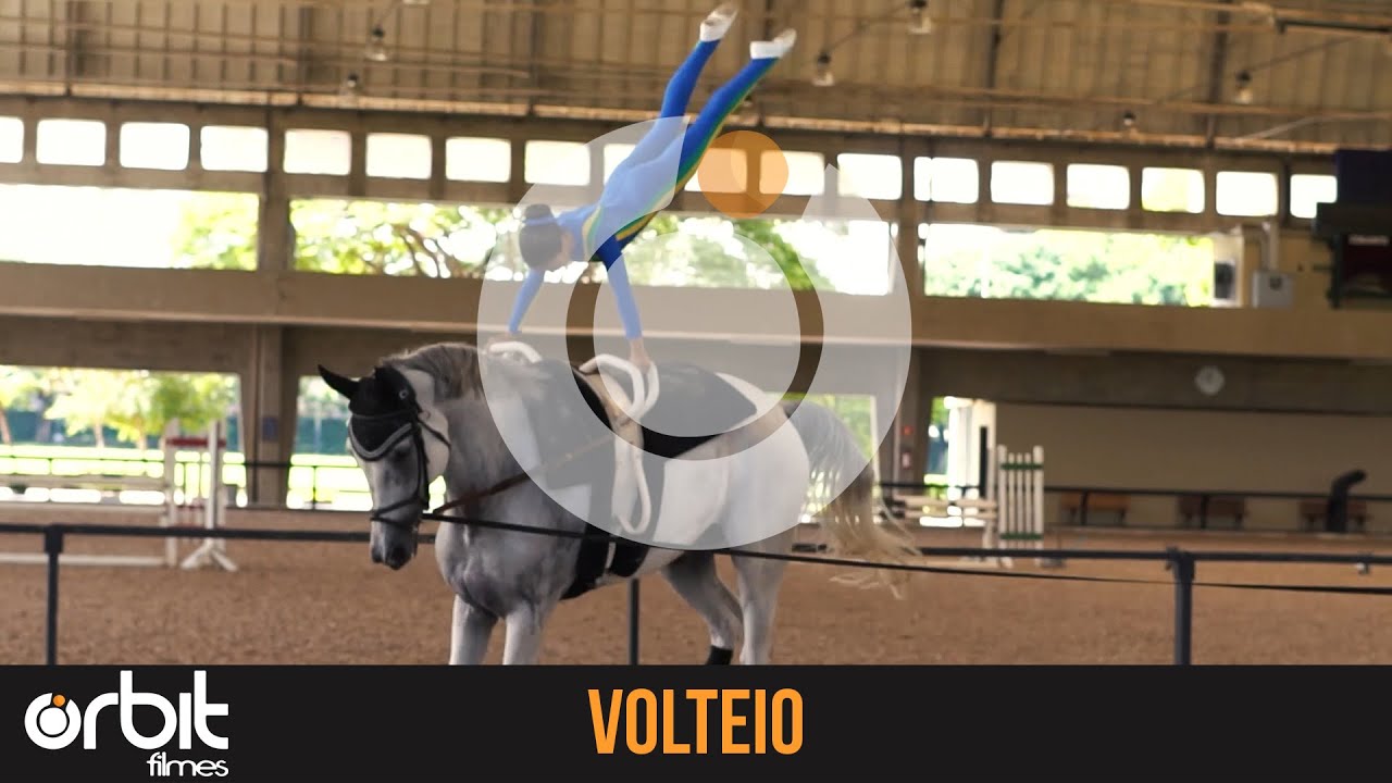 SELEÇÃO BRASILEIRA DE VOLTEIO