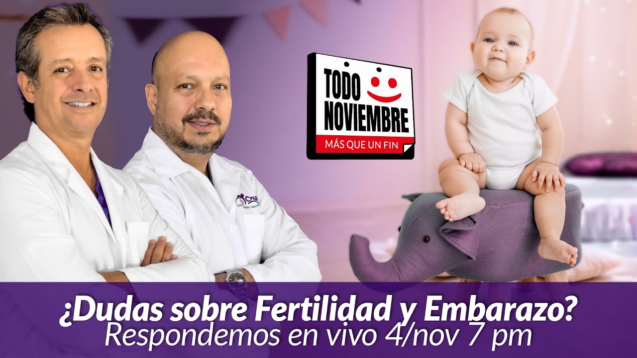 Respondemos tus preguntas sobre embarazo, fertilidad y ginecología [Noviembre 2025]