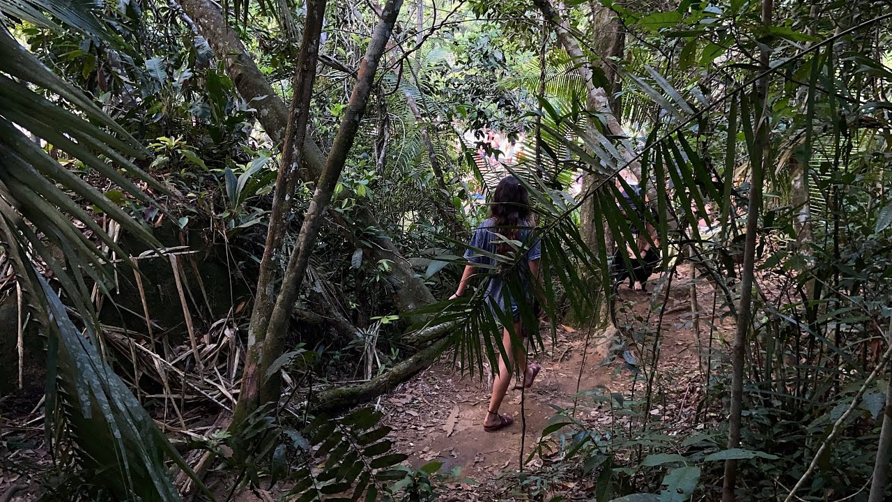 vlog: nada com nada
