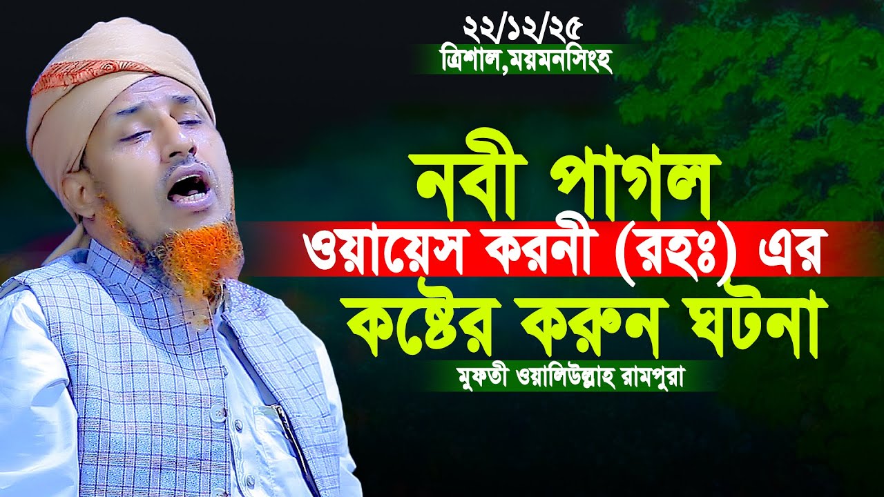 মুফতি ওয়ালিউল্লাহ নতুন ওয়াজ 2025 | Mufti Oliullah New Waz 2025 | 25 সালের সেরা ওয়াজ