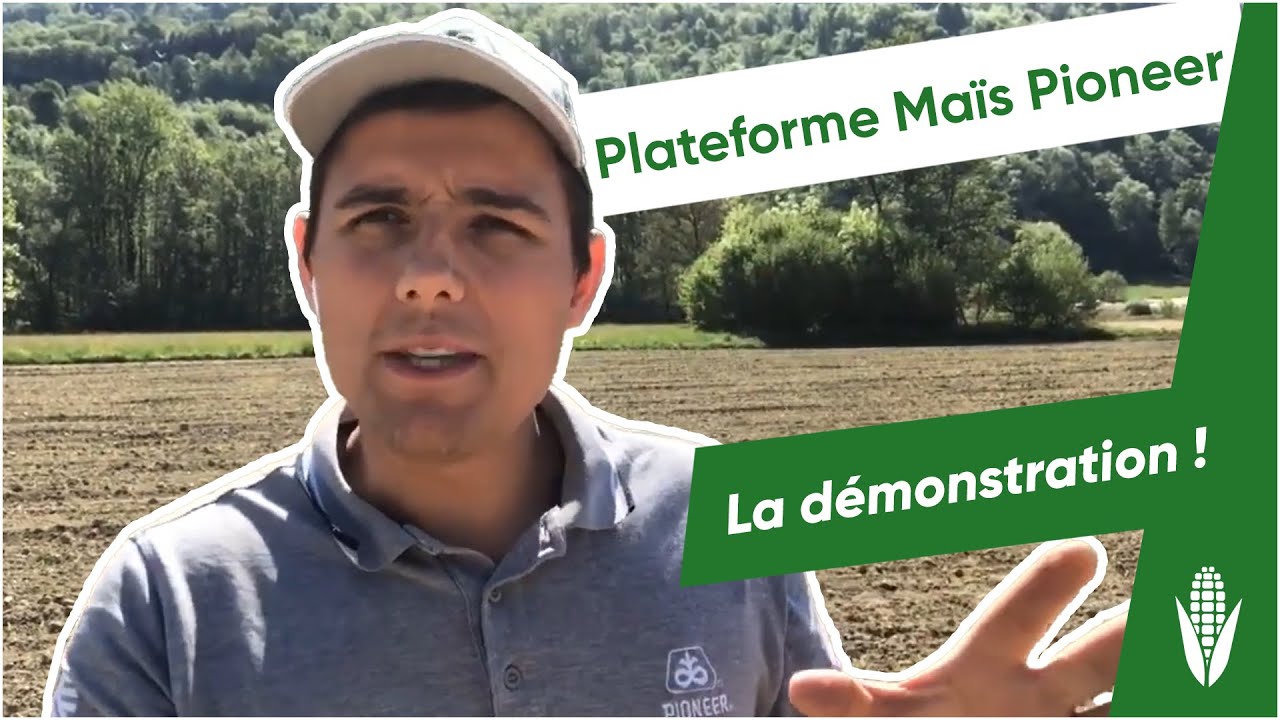 Plateforme Maïs Pioneer : La démonstration !