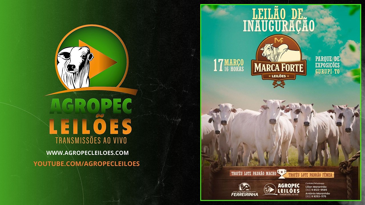 agropecleiloes.com - LEILÃO ESPECIAL DE INAUGURAÇÃO | MARCA FORTE LEILÕES - GURUPI-TO 17/03/2026.