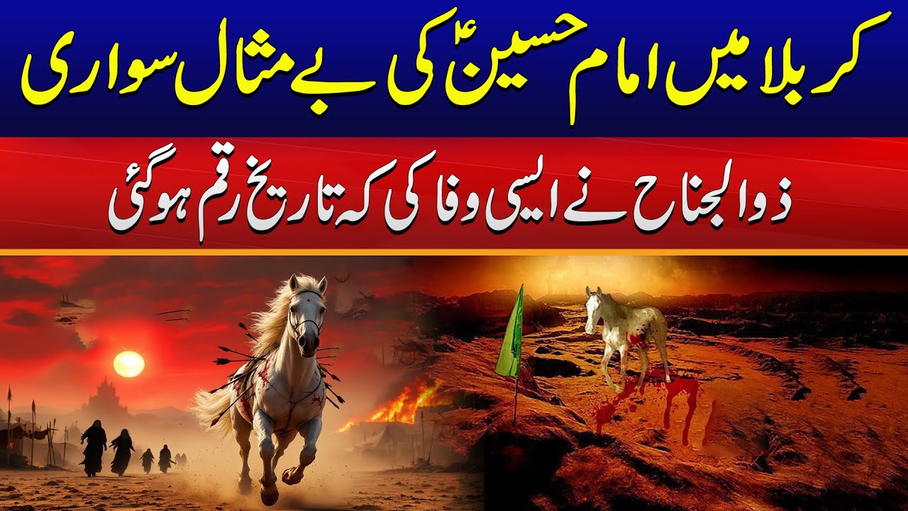 Zul-Jinnah Set Best Example In History Of Loyalty | Muharram 2025 | City41