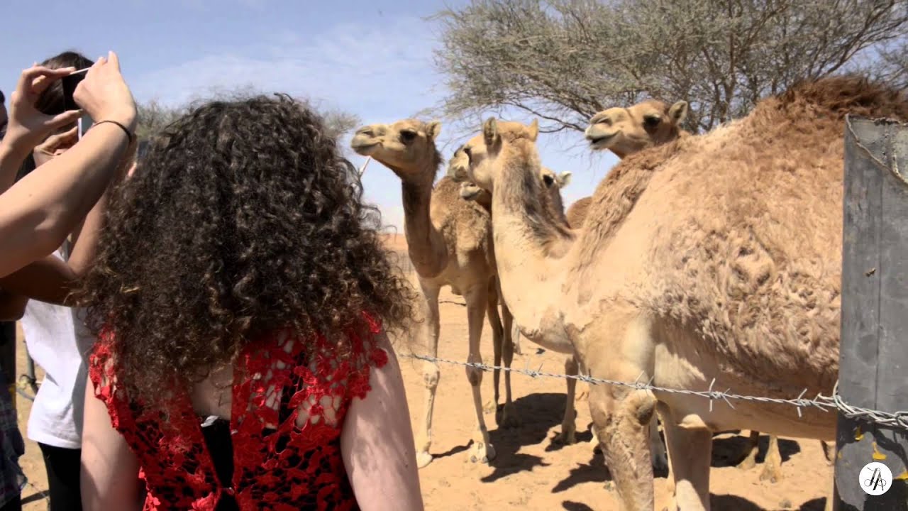 Queen of the Desert Fashion Editorial