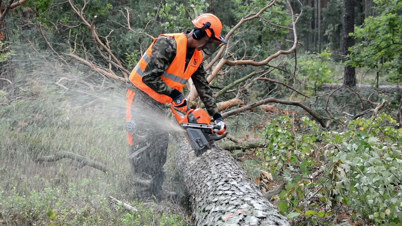 Test pilarki Husqvarna 592 XP w polskim zul