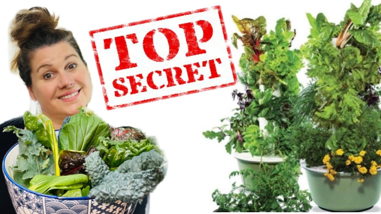 MES MEILLEURS TRUCS  🌱TOWER GARDEN🌱 -
