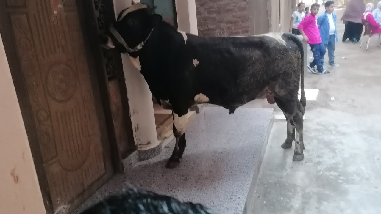 اجواء روتين اول يوم العيد احلى حاجه في العيد لمه العيله كل سنه وانتم طيبين