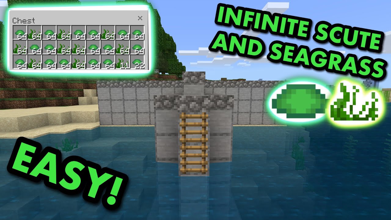 SIMPLE TURTLE SCUTE FARM TUTORIAL in Minecraft Bedrock (MCPE/Xbox/PS4/Switch/Windows10)