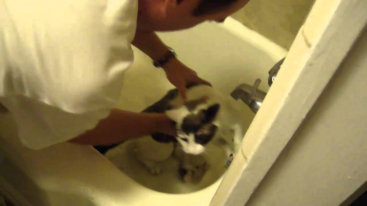 Samantha gets a Bath!
