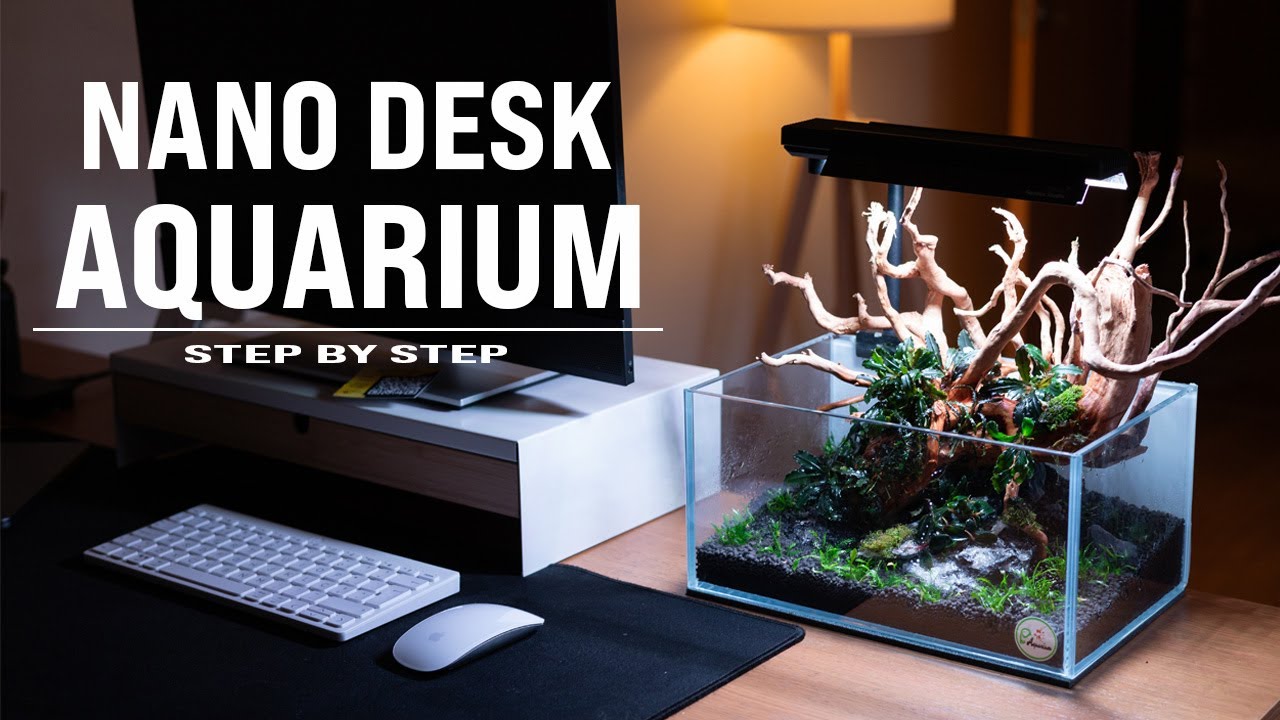 MY NEW SHALLOW NANO AQUARIUM - STEP BY STEP