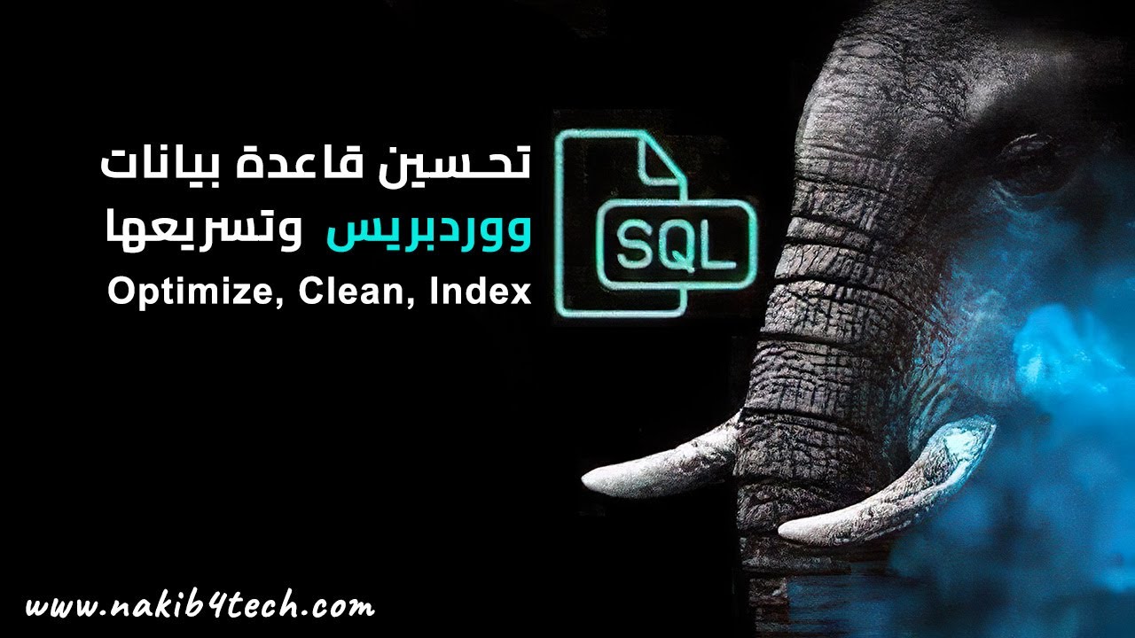 تنظيف وتحسين قاعدة بيانات ووردبريس بشكل نهائي | تسريع قاعدة البيانات