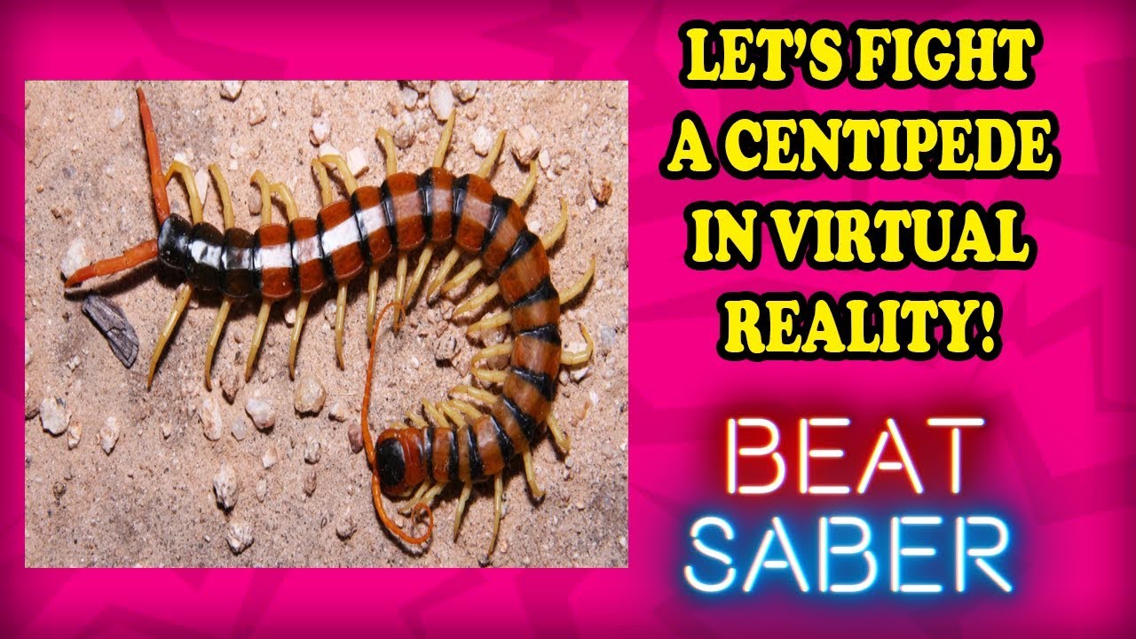 Giant Centipedes are Nimble Navigators! Beat Saber Maul Style then Dual Saber with Nola Mom!