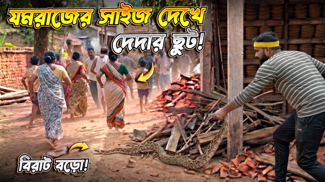 কুমোরবাড়িতে চন্দ্রবোড়ার হানা! সাপ দেখে ভয়ে কাজ বন্ধ! কোন সাপ সবথেকে ভয়ঙ্কর? Russell's Viper!