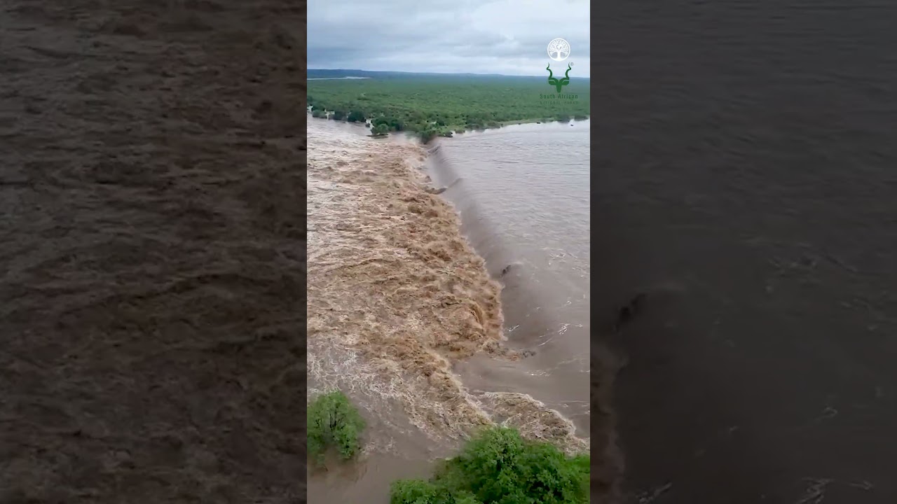 Dele van 𝗞𝗿𝘂𝗴𝗲𝗿𝘄𝗶𝗹𝗱𝘁𝘂𝗶𝗻 onder water. 🌧️ #MaroelaMedia #vloed #krugernationalpark