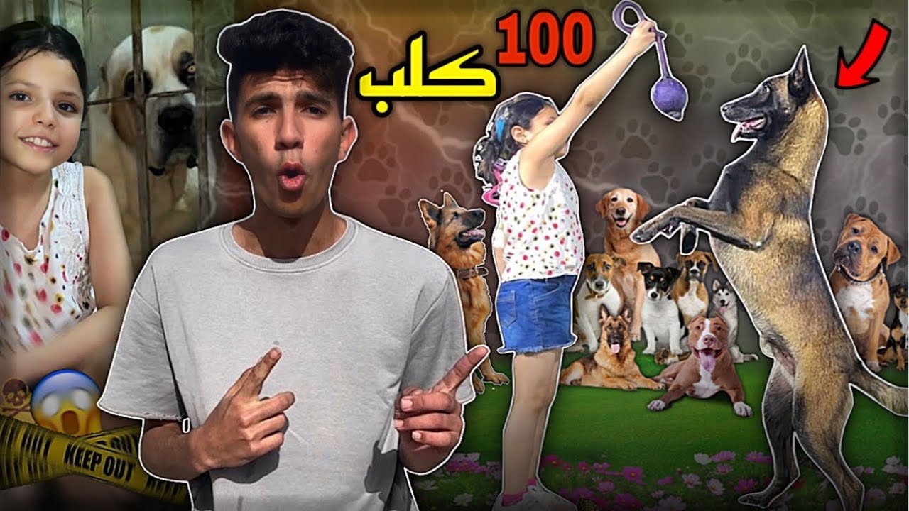 اصغر مربيه كلاب في مصر فتحت مزرعه | اكتر من 100 كلب 😱