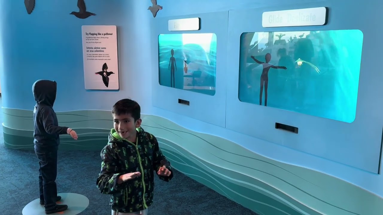 Elijah’s Monterey Bay Aquarium 