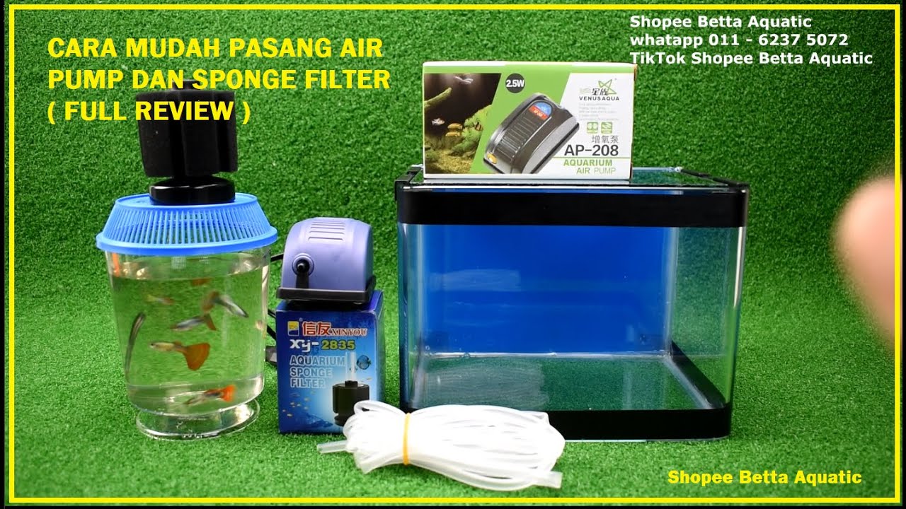 CARA - CARA NAK SETUP AQUARIUM IKAN GUPPY MEGUNAKAN AQUARIUM KACA BIRU , AIR PUMP DAN SPONE FILTER
