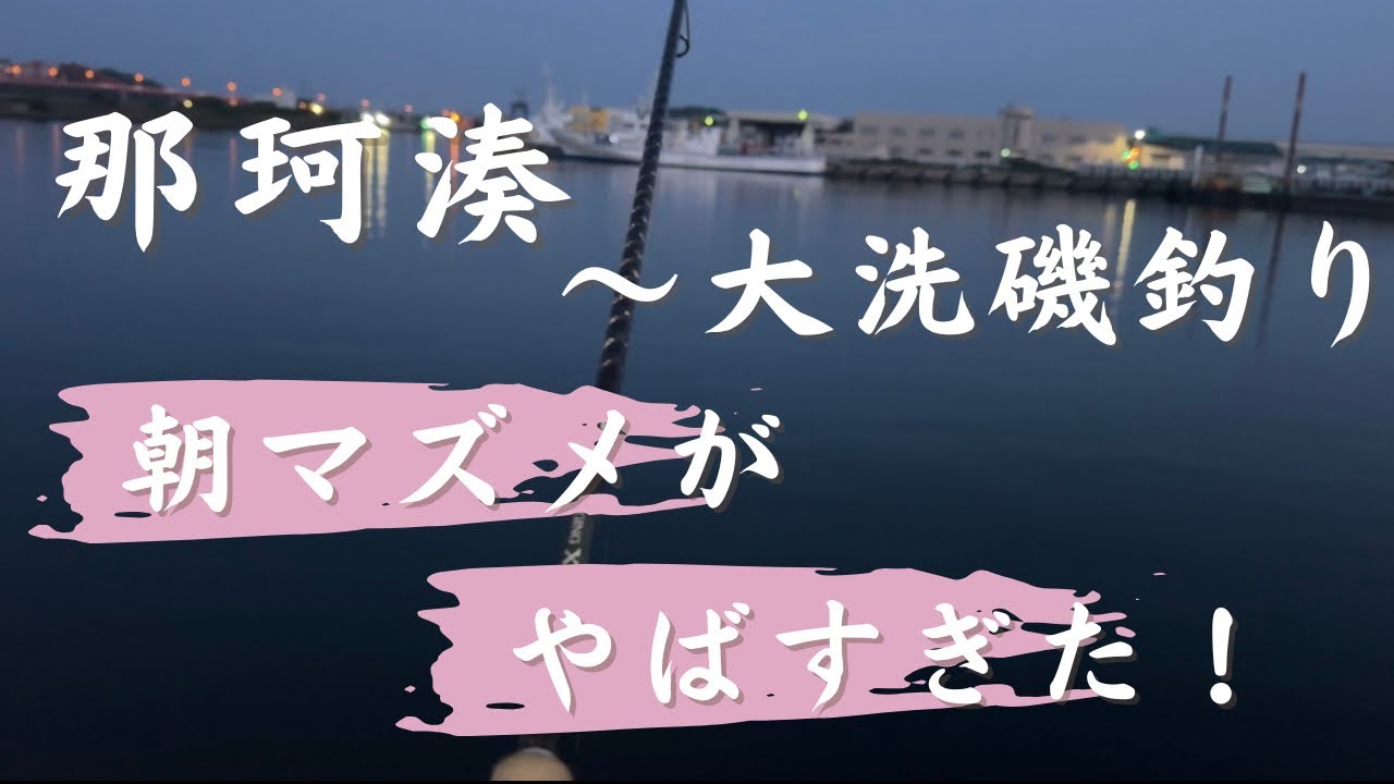 【茨城県釣り】アジ絶好調！今回は色々な釣りスポットに行ってみました