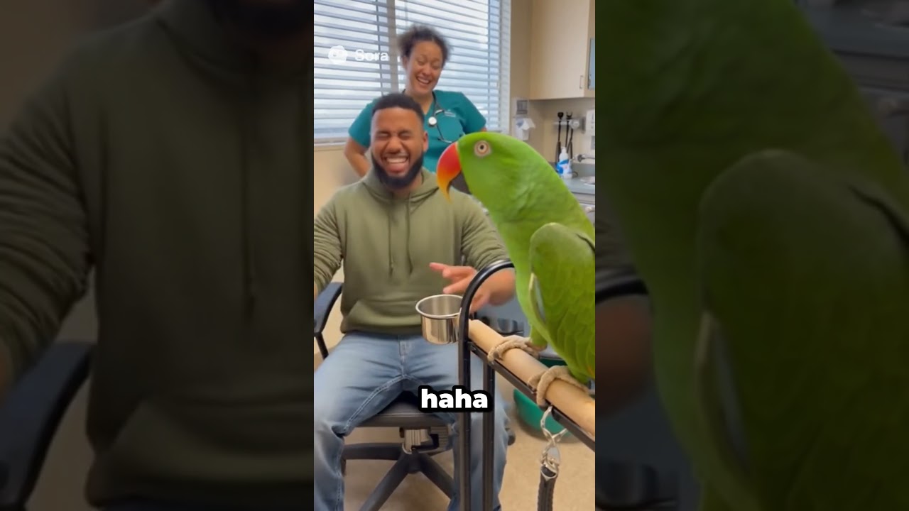 Doctor Parrot Tells The Truth About Love