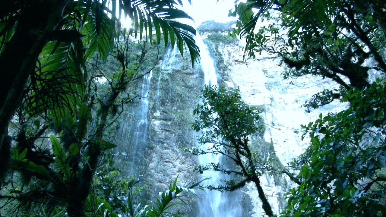 Gocta: la imponente catarata en medio del Amazonas