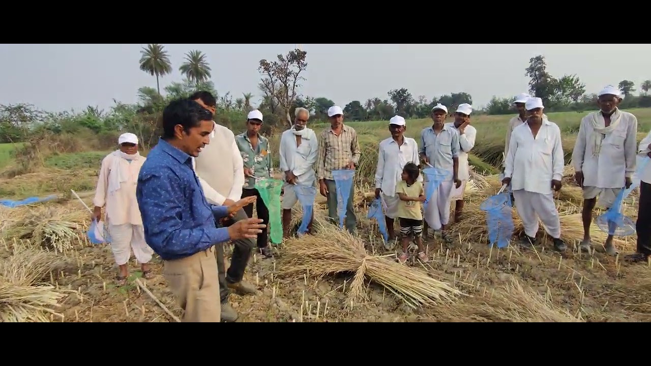 अधिक उत्पादन कैसे करें सरसों की खेती में कृषि अधिकारी हीरा लाल जी द्वारा किसानों को तकनीक बताते हुए