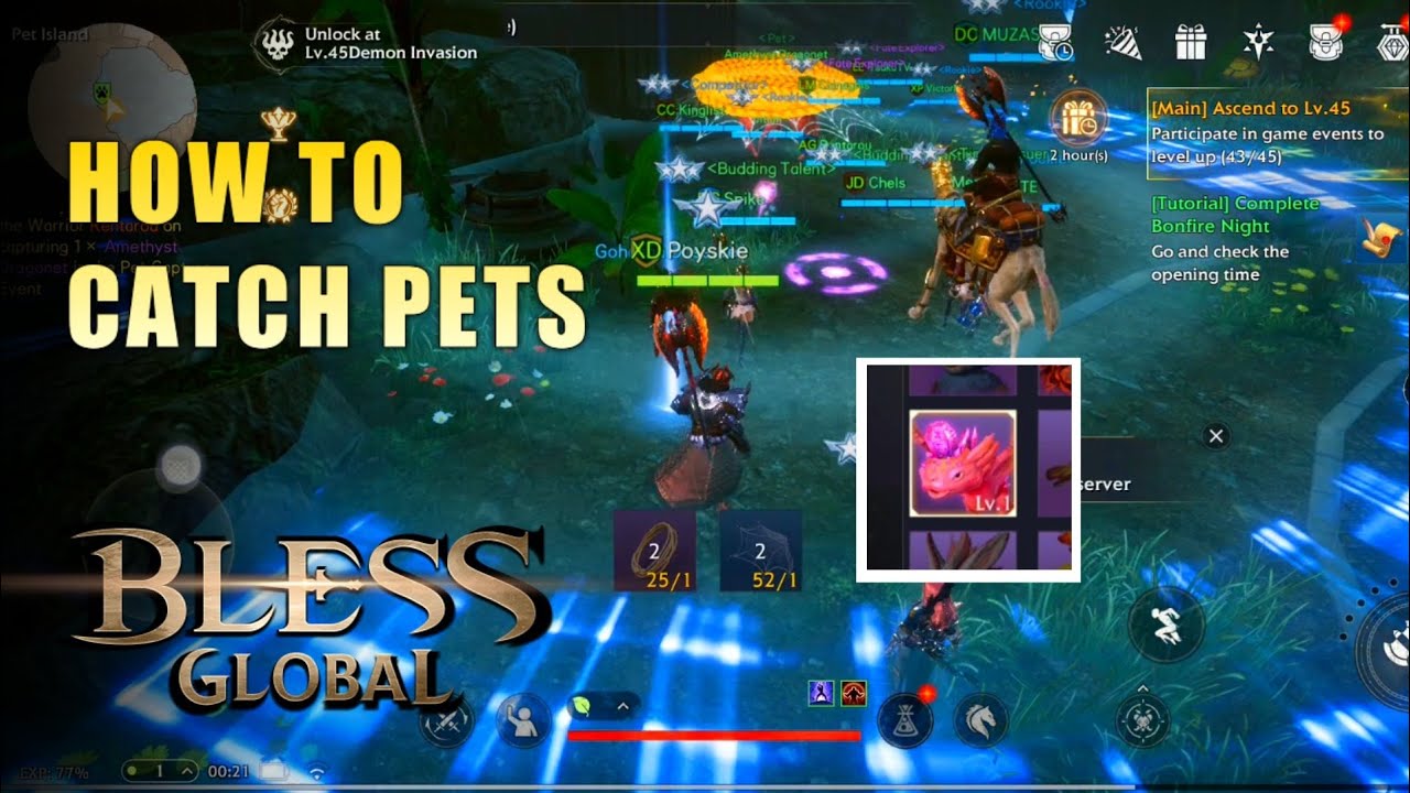 Bless Global - How to Catch Pet | Tips and Guide