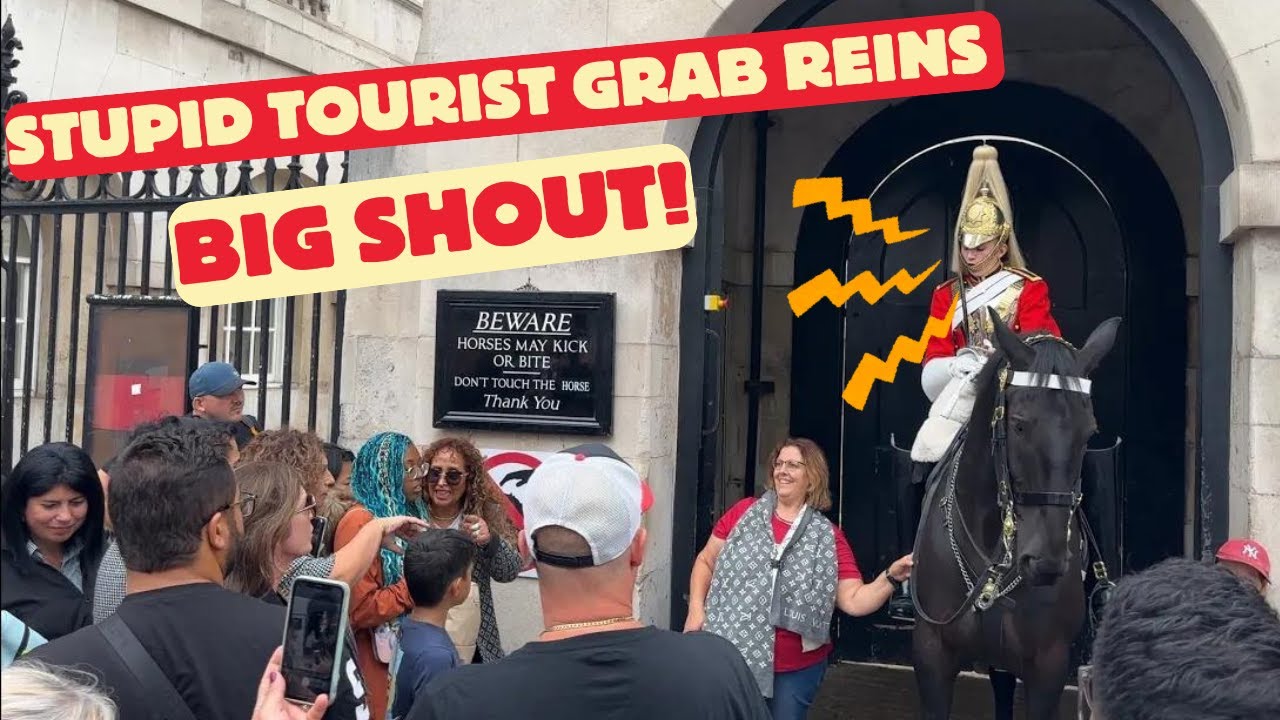 Stupid Tourist Grabs Horse Rein and Gets Shouted – Watch the Reaction!