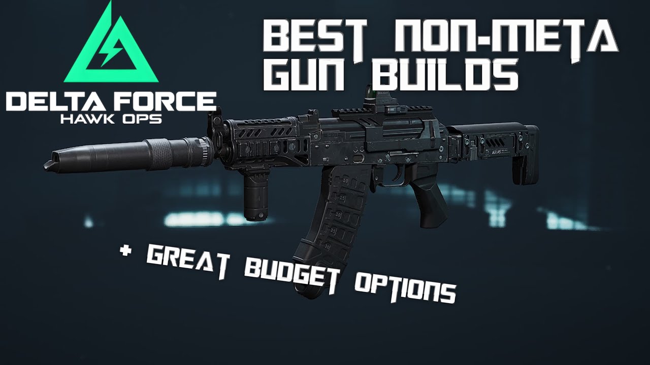 Best Non-Meta Gun Builds + Cool Budget Options!