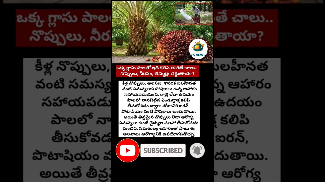 #OilPalm #PalmOilFarming #Agriculture #Farmers #TeluguFarmers #FarmingTips #AgricultureNews