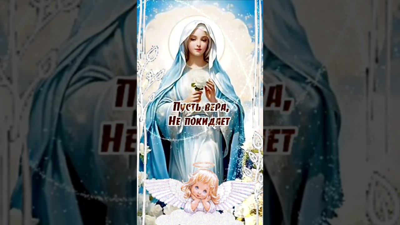 🤍🕊️ Дopoгue мou &pi;oд&pi;ucчuкu, cчacтья вaм ceгoдня u вceгдa 🕊️🤍 Люблю вcex вac &hearts;️🤗