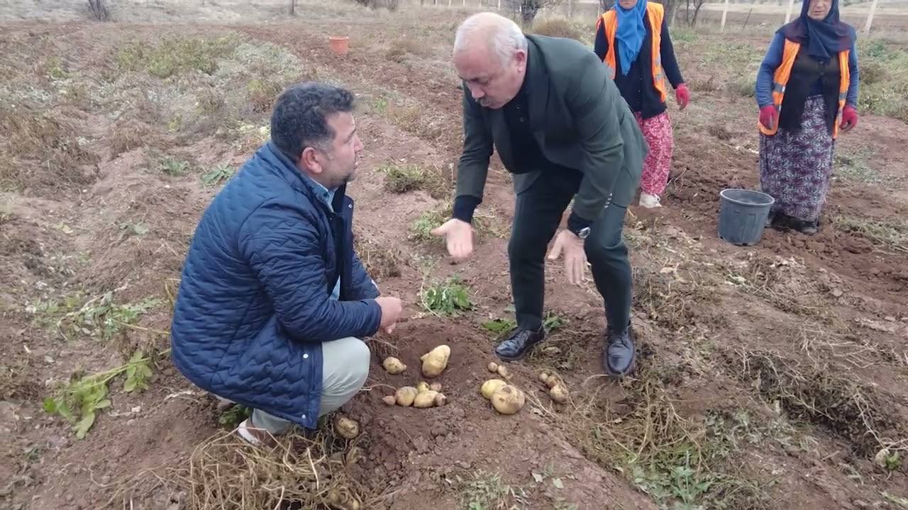 Çankırı Belediyesinden Yerli Üretim Yüksek Verim-2025