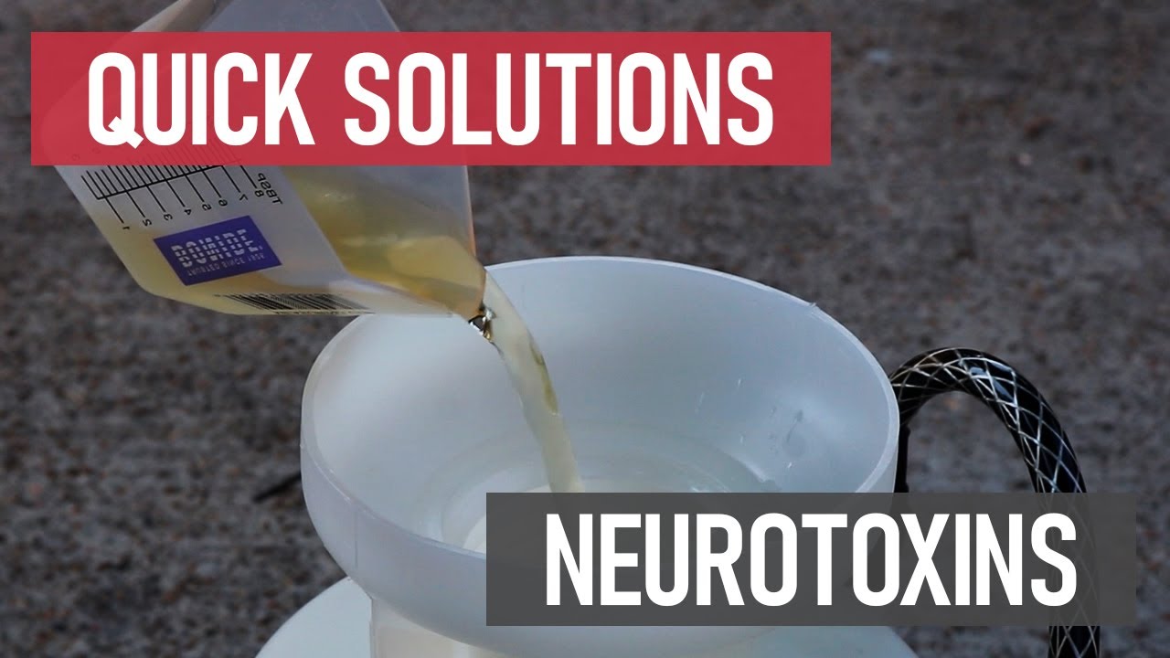 Quick Solutions: What are Neurotoxins?