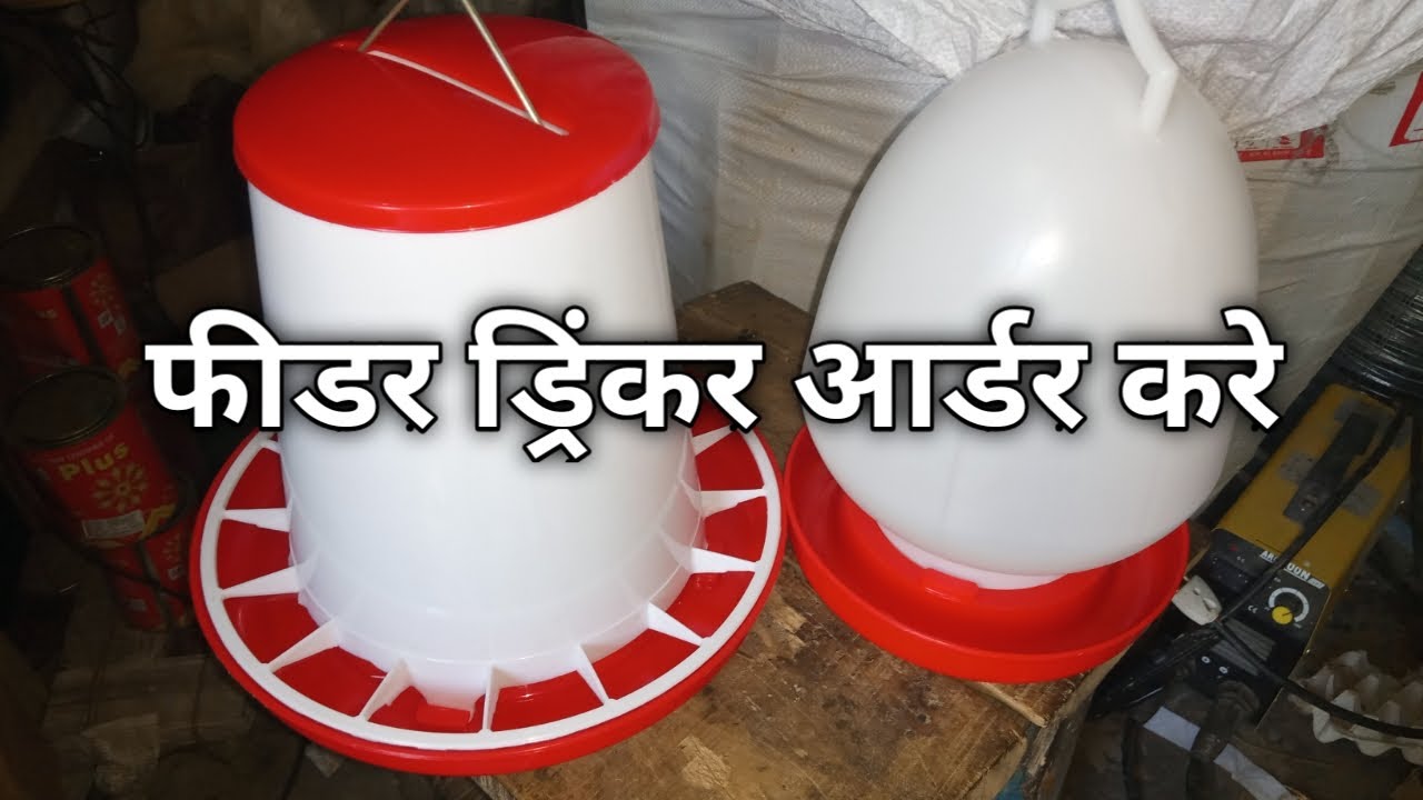 Feeder drinkar milega gharpar | फीडर ड्रिंकर होम डिलीवरी