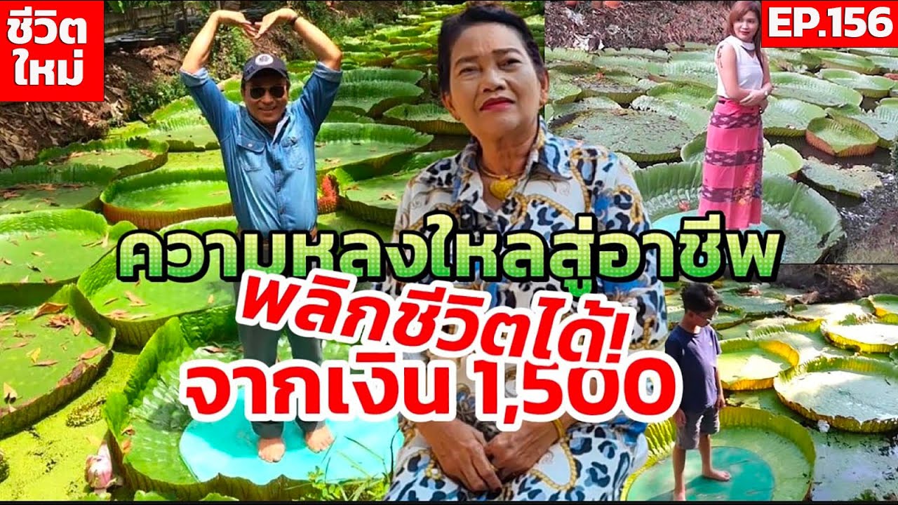 กว่า 29ปีสวนมาลัยบัววิคตอเรียความหลงใหลสู่อาชีพพลิกชีวิตได้! จากเงิน 1,500