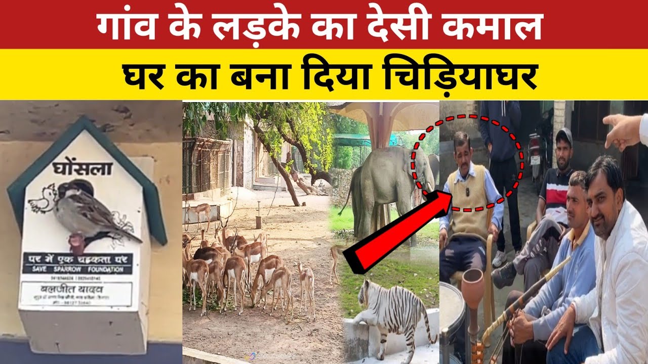 अपने घर को बना दिया चिड़ियाघर |desi zoo| विदेश से आते हैं लोग देखने|