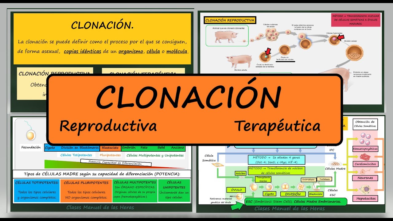 CLONACIÓN. Reproductiva (Dolly) y Terapéutica (Células Madre). Células ESC y IPC. BIOLOGÍA.