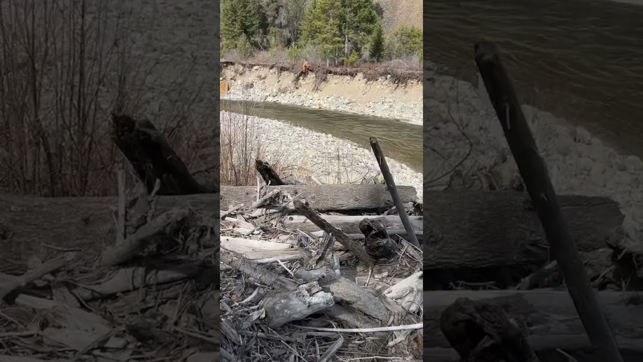 Gold panning - mission creek bc