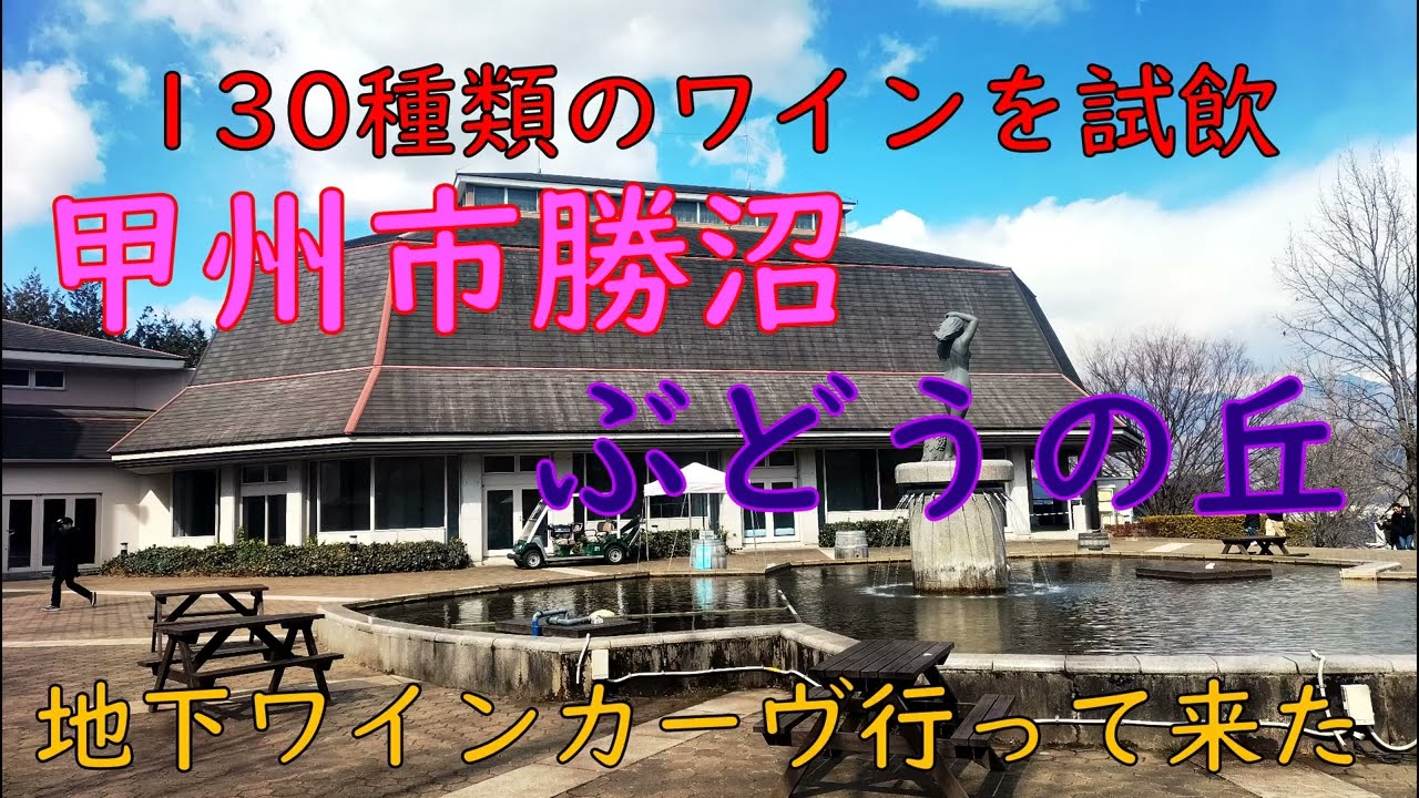 甲州市勝沼ぶどうの丘ワインカーブ